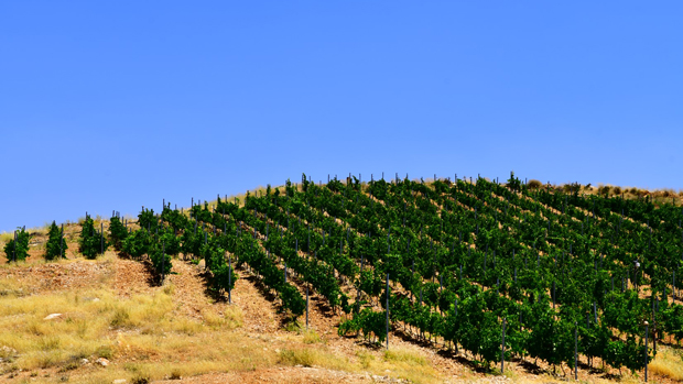 The Hills of Trois Collines under a blue clear sky 620x349